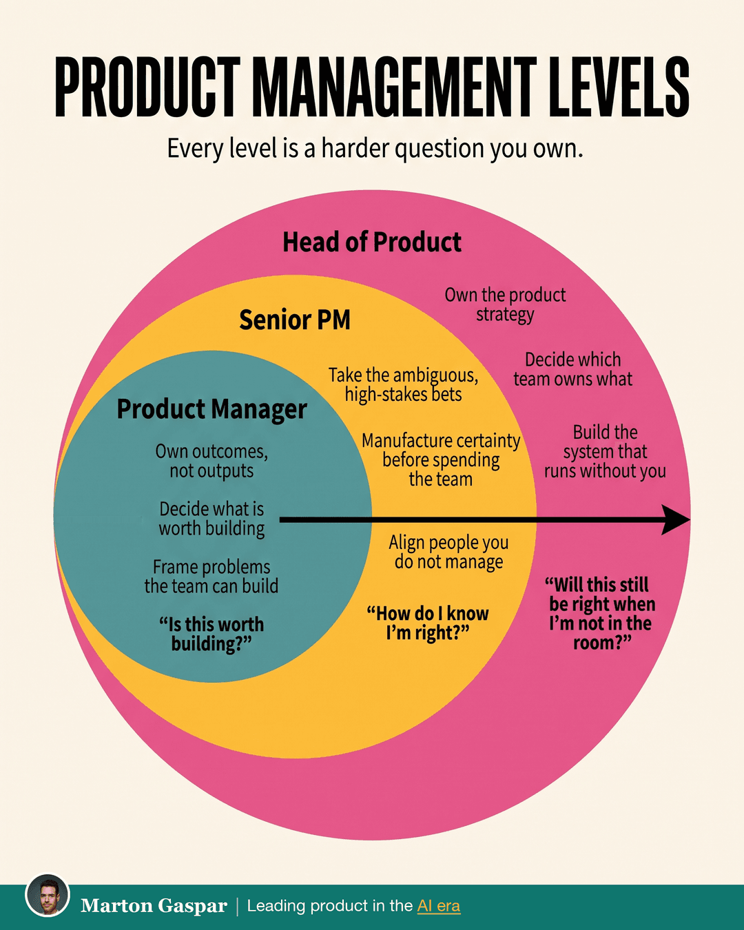 Product Management Levels, the infographic in this PDF